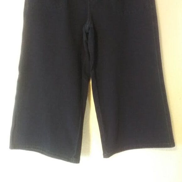 Dream Jeannes by Quacker Factory women's size M blue Capri pants - Picture 3 of 14